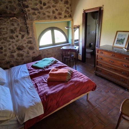 L'Ottava Goccia Country House Tolfa Екстер'єр фото